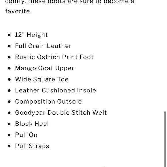 Western Boot - Picture 14 of 15